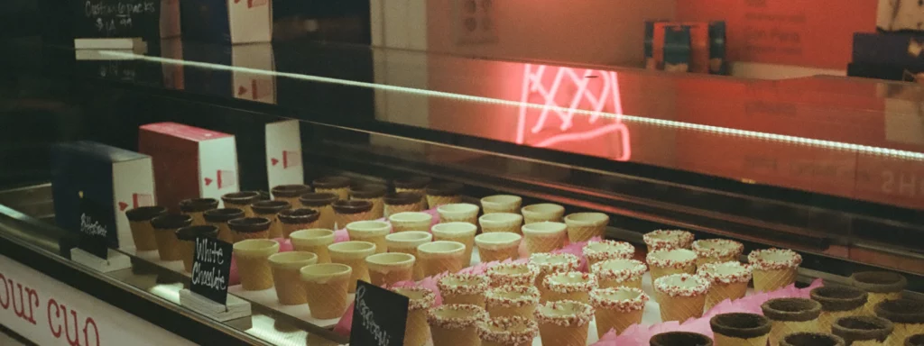 Ice cream parlour business